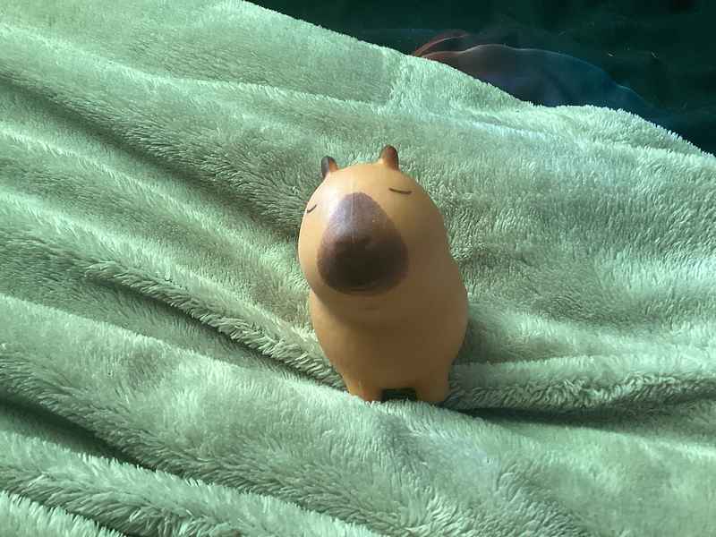 Capybara plush squishy
