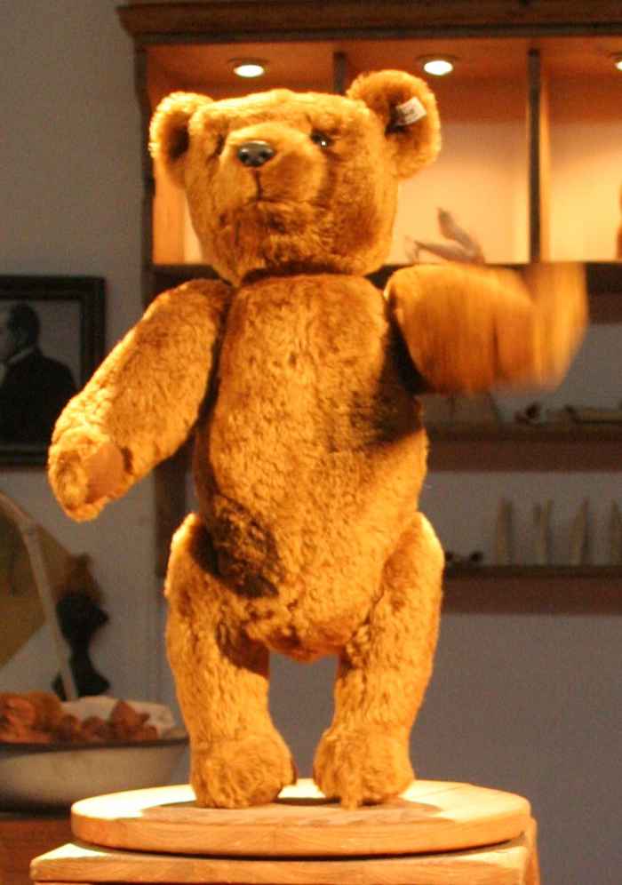 Kawaii plush teddy